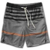 Trail Short | Grey Acorn Stripe 1 Trail Short | Grey Acorn Stripe -Funktion One Style V341 GAS