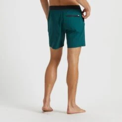Bahia Boardshort | Palm -Funktion One Style V359PAL 3