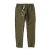 Transit Jogger | Evergreen 1 Transit Jogger | Evergreen -Funktion One Style V417EVG update