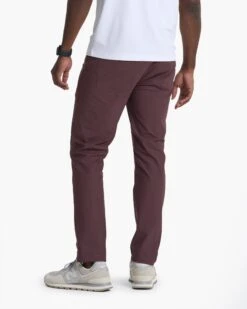 Meta Pant | Chestnut -Funktion One Style V430CHN 00431