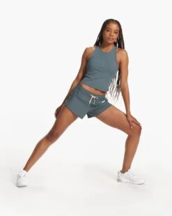 Clementine 4" Short 2.0 | Lake -Funktion One Style VW3004LAK FA23 W ECOMM SHORTS FULL 3