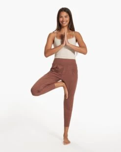 Lux At Ease Pant | Hazelnut Heather -Funktion One Style VW427HHZ FA23 W ECOMM PANTS FULL 2